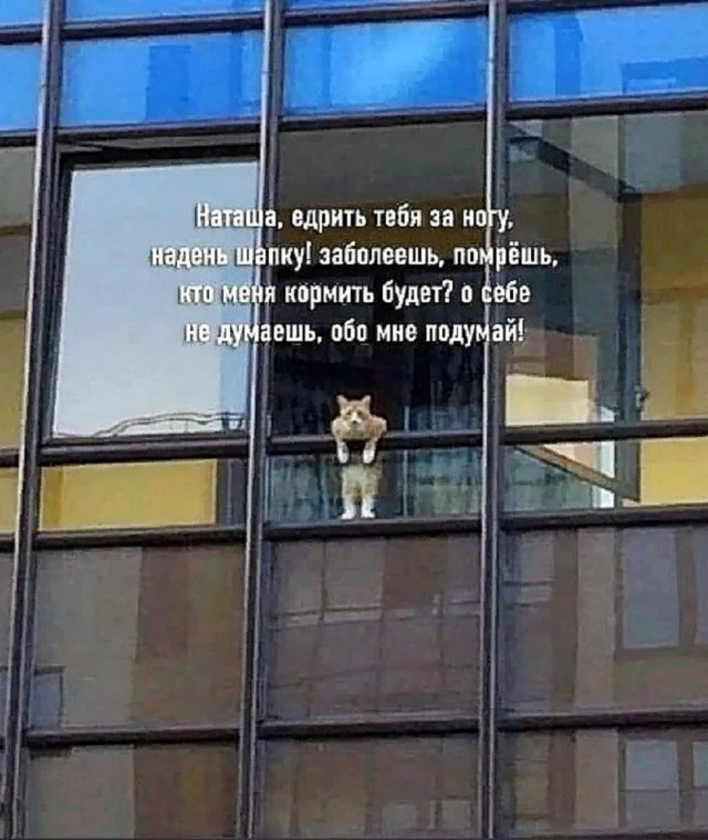 Ну такие себе мемы