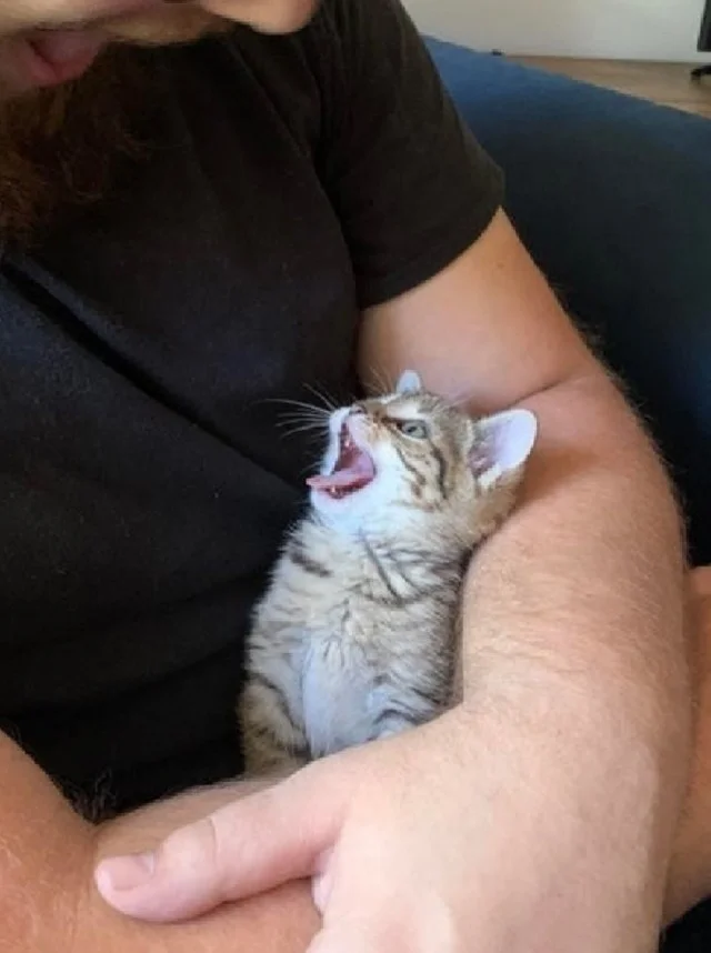 Веселые мемы