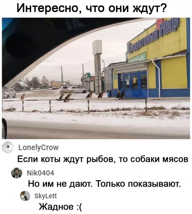 Мемы, что надо