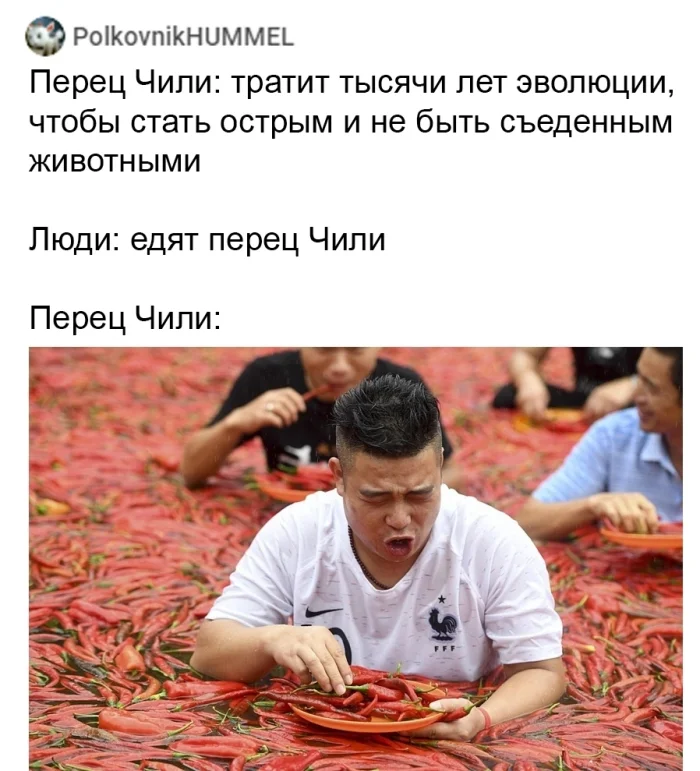 Растения и их эволюция