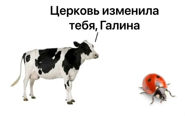 Мемы в ленту #3