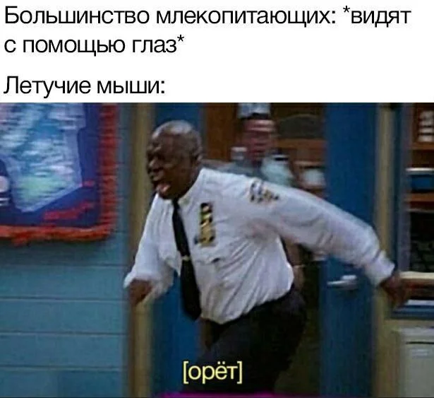 Мемы из мира кино