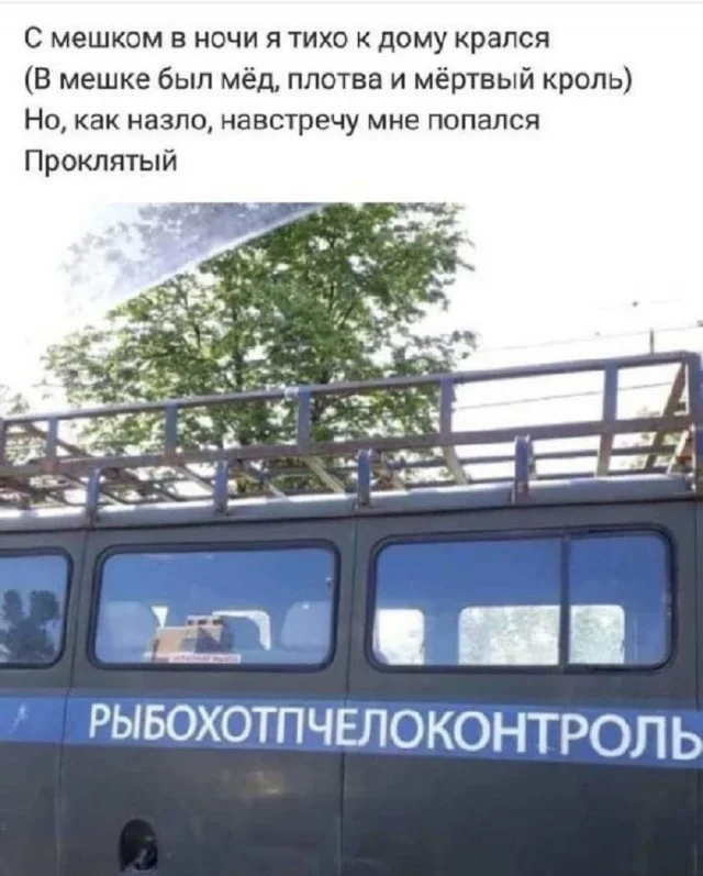 Прикольные мемы на каждый день!