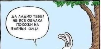 Заряжаем день позитивом: Мемы