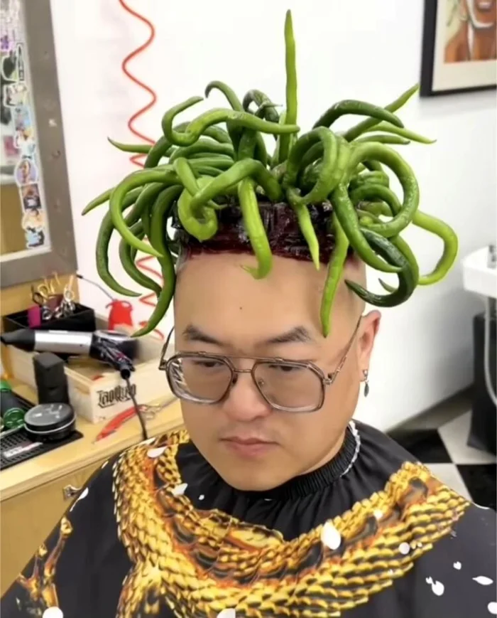 Безумие на голове: самые странные причёски, которые сложно объяснить Безумие на голове: самые странные причёски, которые сложно объяснить