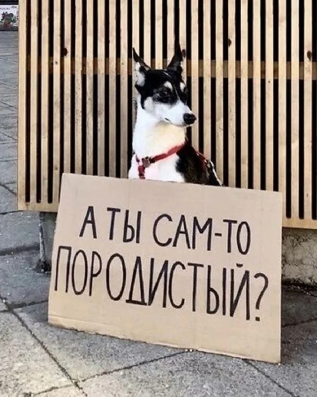 Мемы за сегодня