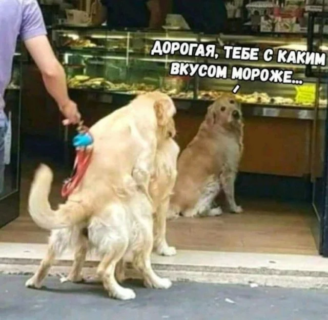 Мемы пропитанные деградацией