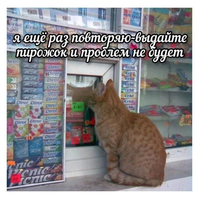 Смешные скрины из соцсетей #125 Смешные скрины из соцсетей #125