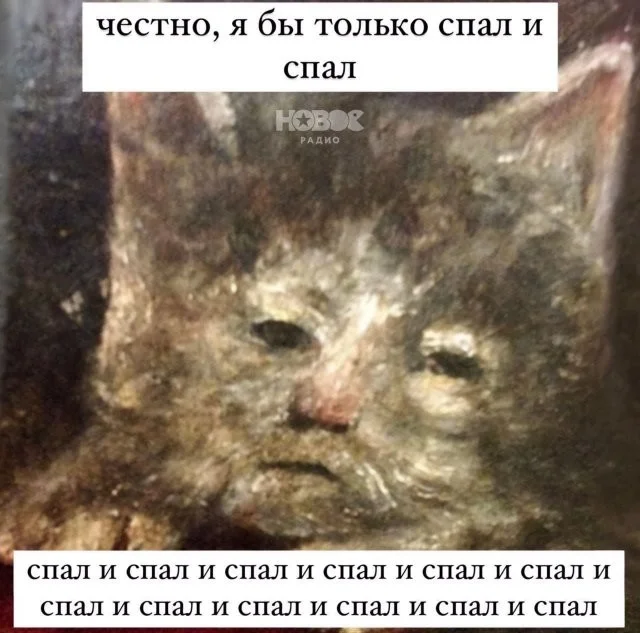 Смешные скрины из соцсетей #124 Смешные скрины из соцсетей #124