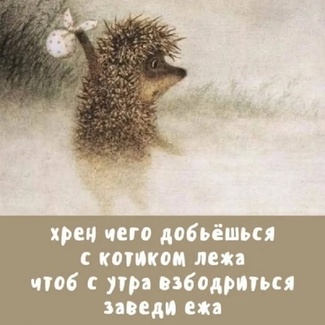 Весёлые мемы