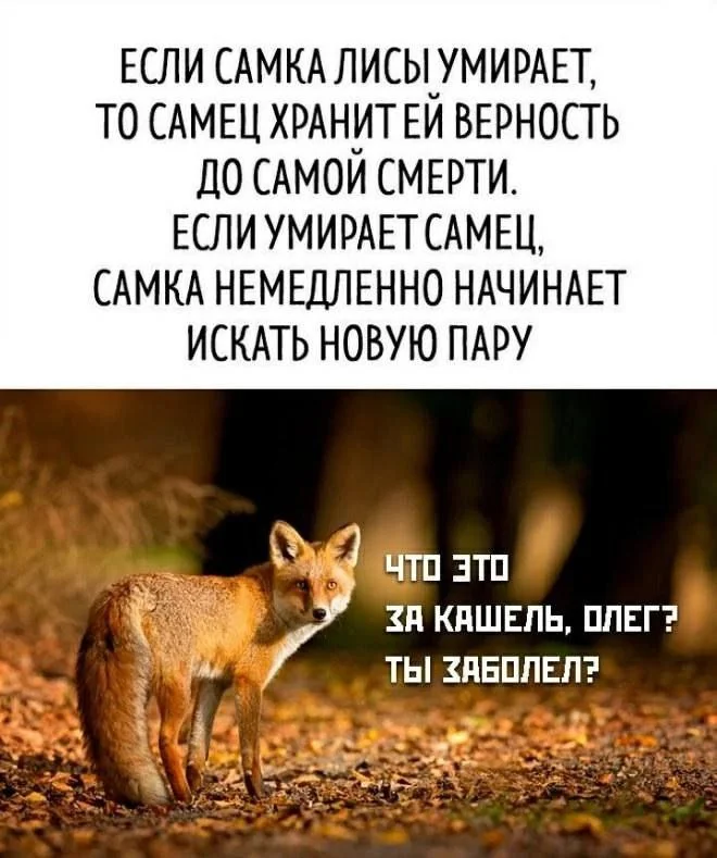 Пошлые мемы и чёрный юмор 18+ | Подборка #18 Пошлые мемы и чёрный юмор 18+ | Подборка #18