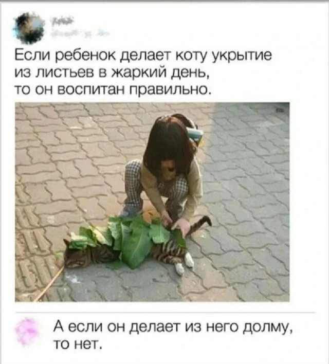 Лучшие мемы