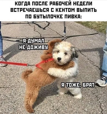 Подборка мемов #1