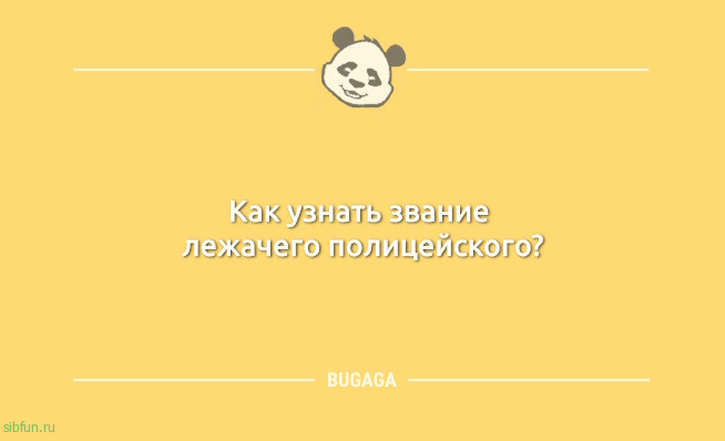 Пост с анекдотами: «Коты не толстеют…» 