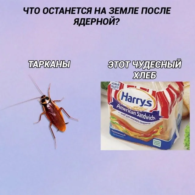 Смешные скрины из соцсетей #117