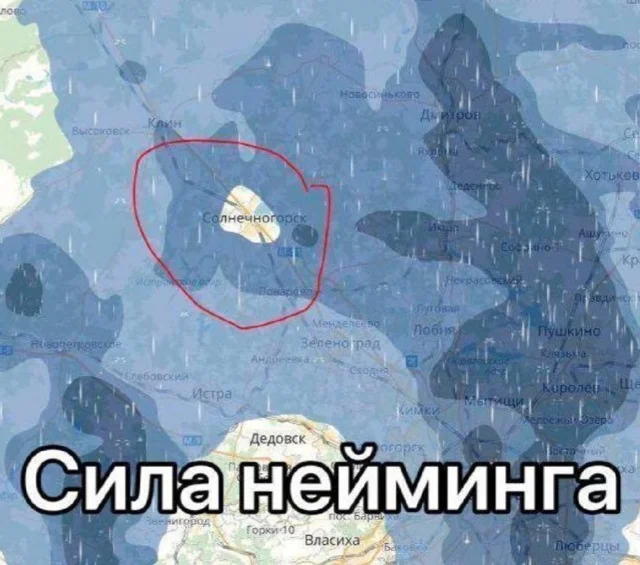 Мемы в ленту #2