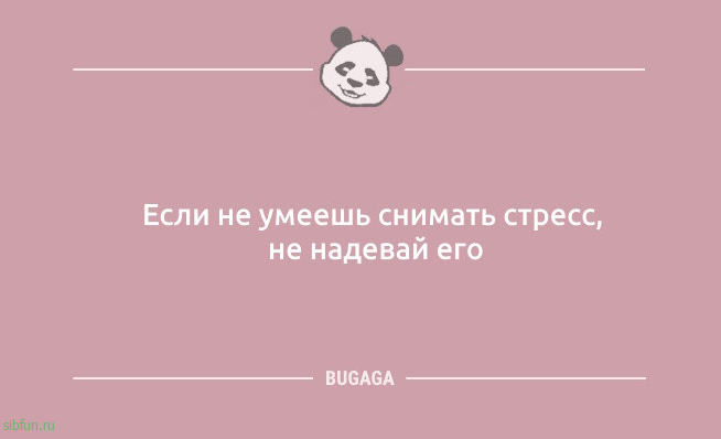 Анекдоты дня: «Что-то тараканы в голове притихли…» 