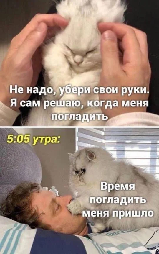 Пошлые мемы и чёрный юмор 18+ | Подборка #15