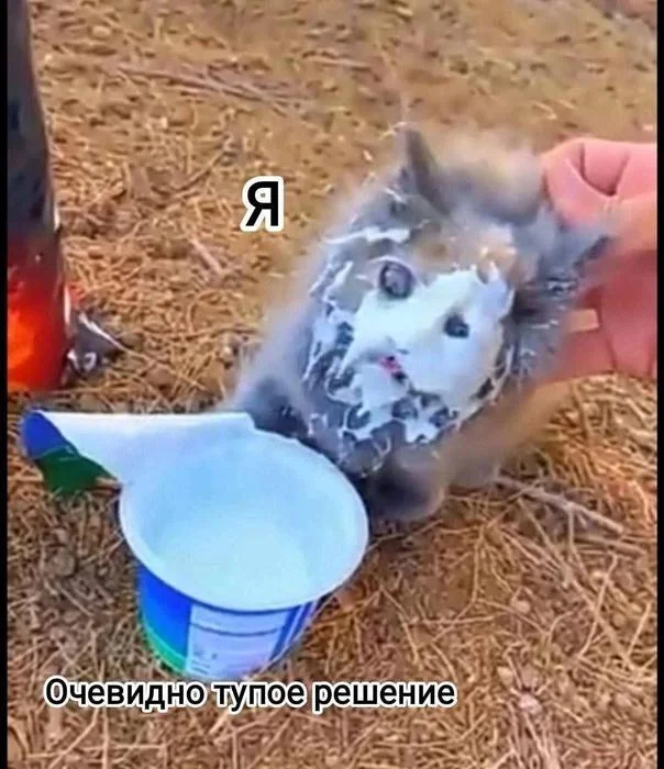 Деградация из мемов