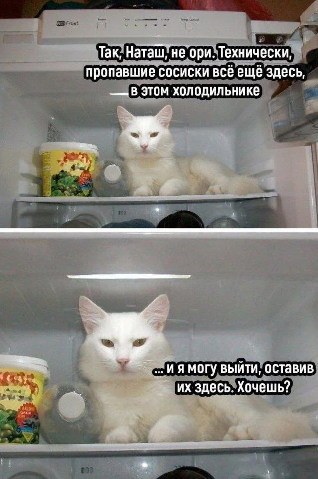 Деградационные мемы