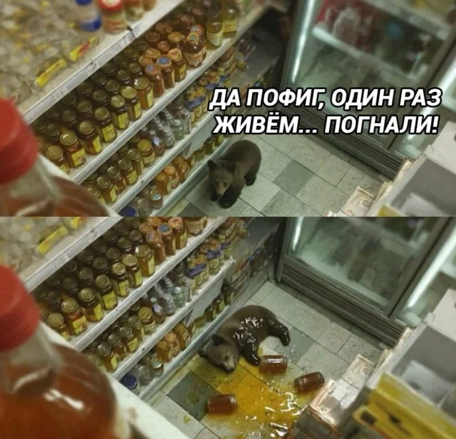 Деградация из мемов