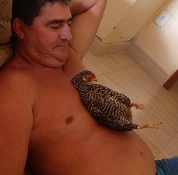 Баяные мемы