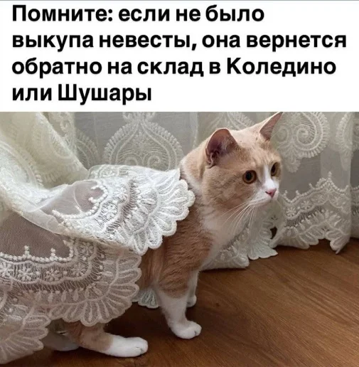 Мемы в ленту #1