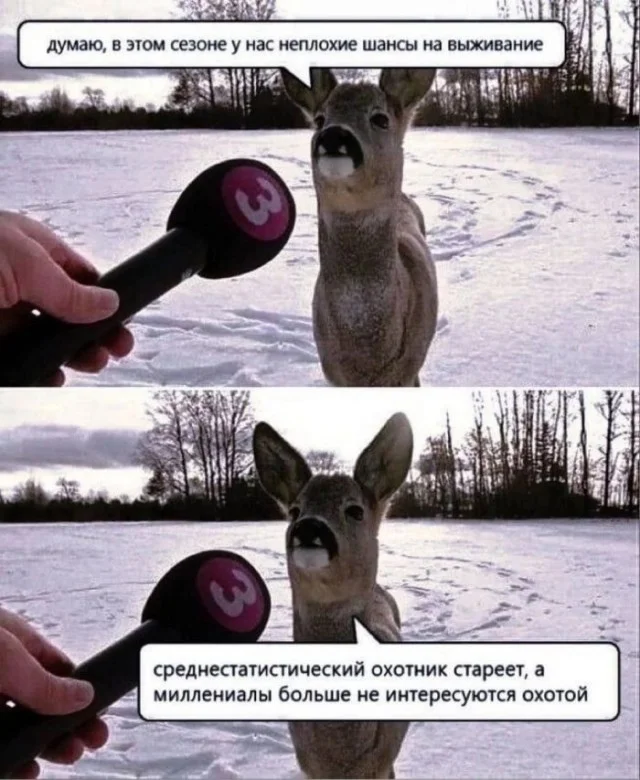 Деградацию в мемах заказывали?