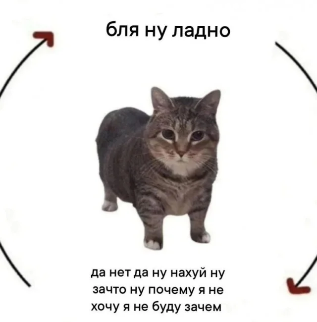 Мемный трешачок