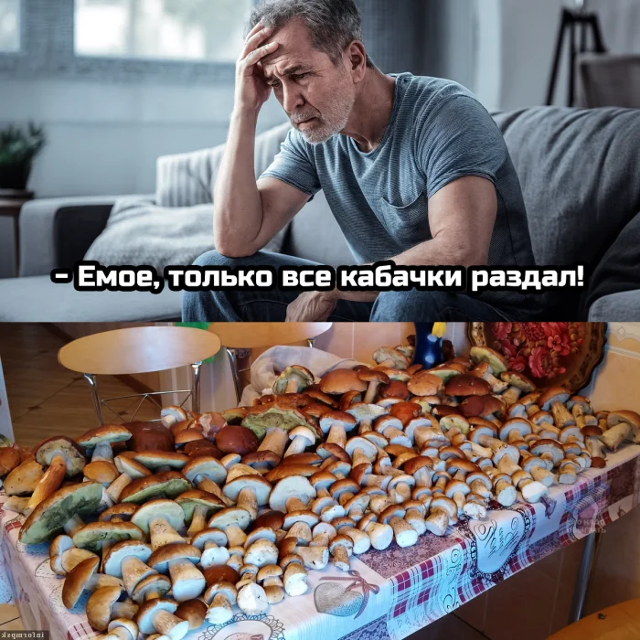 Осенний лес в красках: подборка тёплых и атмосферных фотографий