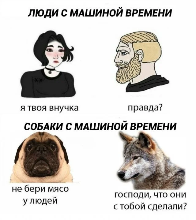 Смешные скрины из соцсетей #120