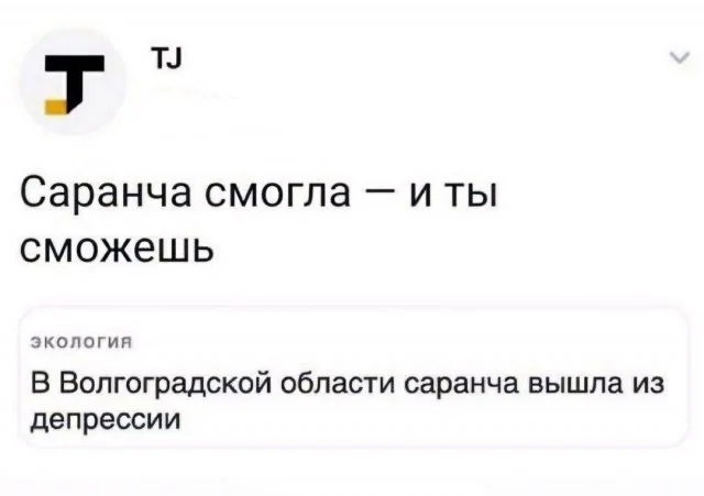 Прикольные мемы для настроения!