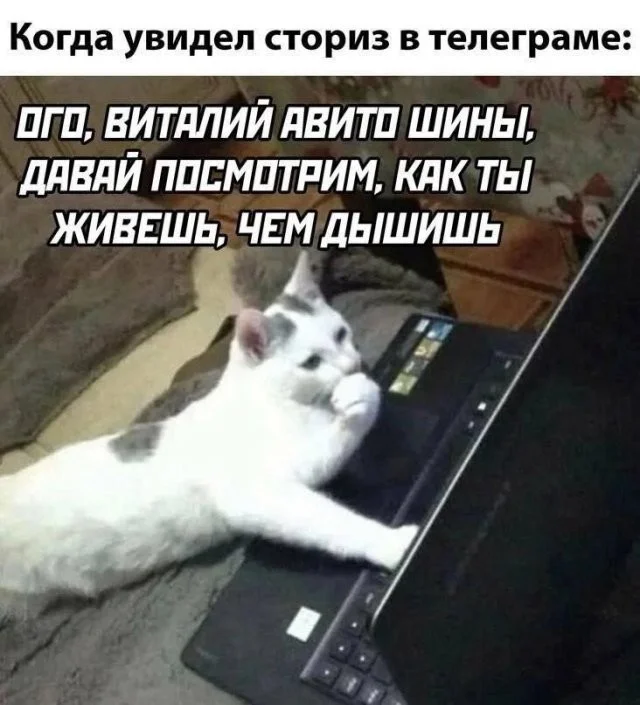 Смешные скрины из соцсетей #123 Смешные скрины из соцсетей #123