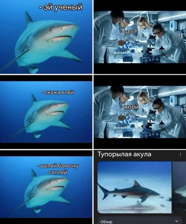 Смешные скрины из соцсетей #119 Смешные скрины из соцсетей #119