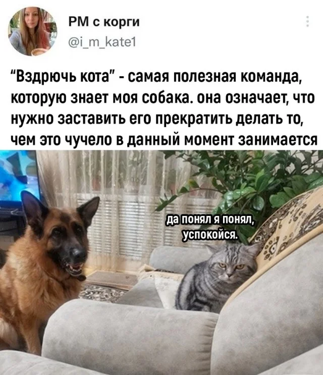 Прикольные мемы на каждый день!