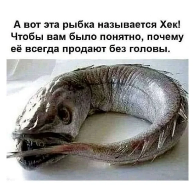Классные мемы
