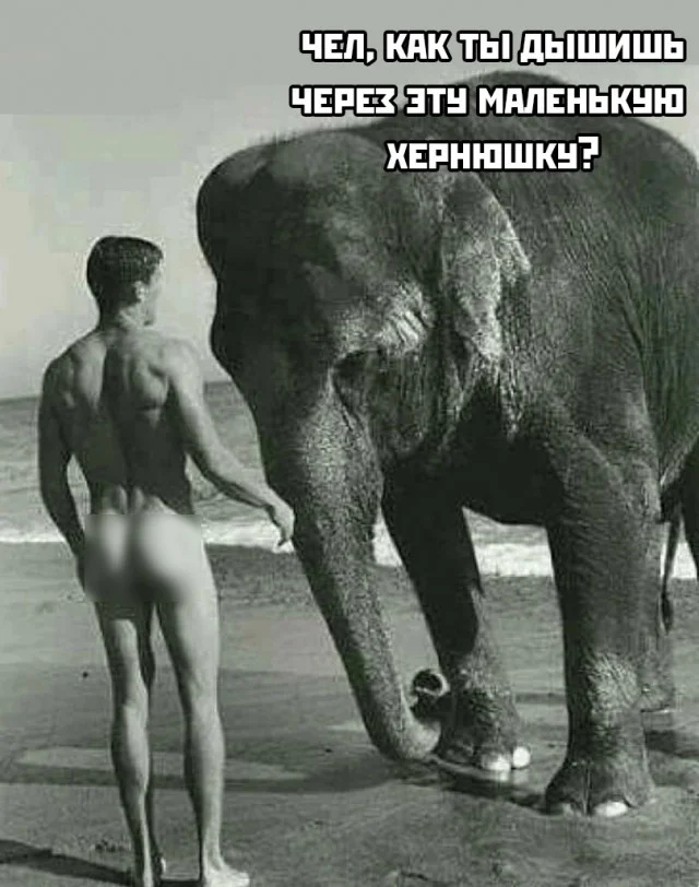 Свежие мемы