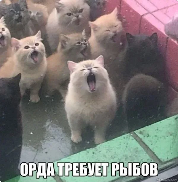 Смешные скрины из соцсетей #118