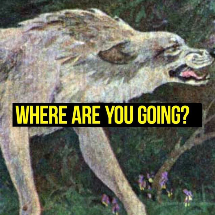 Красная шапочка 2.0 English version