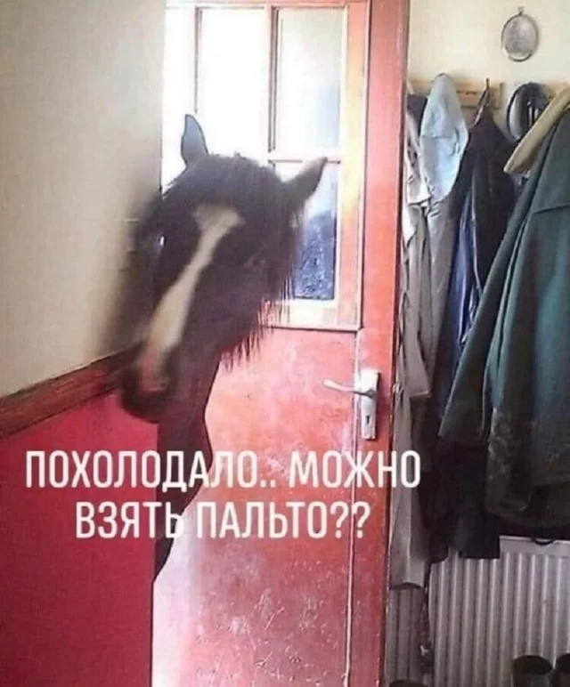 Мема-градация