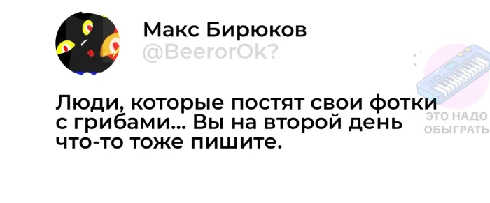 Осенний лес в красках: подборка тёплых и атмосферных фотографий