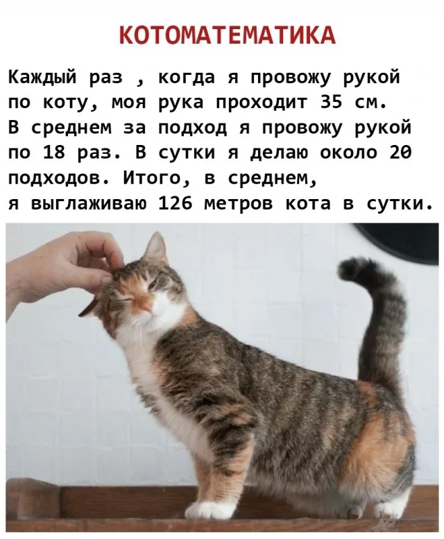 Свежие мемы