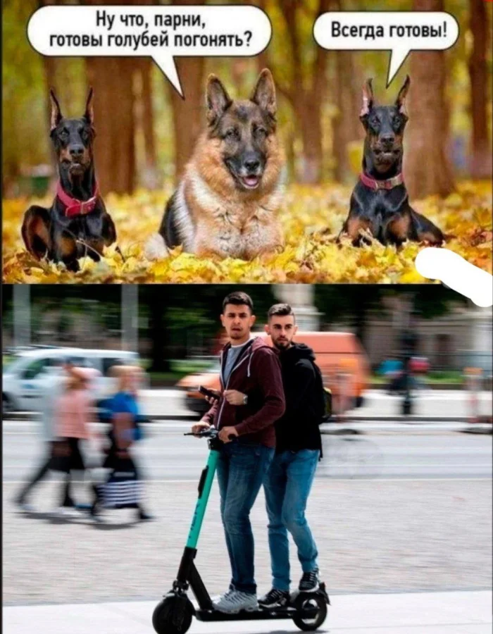 Пошлые мемы и чёрный юмор 18+ | Подборка #10 Пошлые мемы и чёрный юмор 18+ | Подборка #10