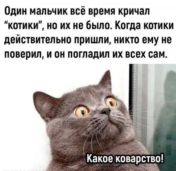 Баяные мемы