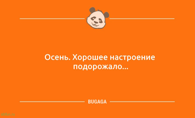 Анекдоты дня: «Вчера занял у соседа перфоратор…» Анекдоты дня: «Вчера занял у соседа перфоратор…»