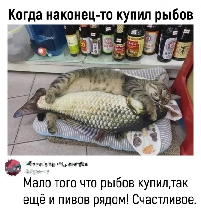 Прикольные мемы на каждый день!