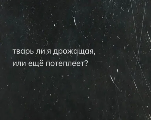 Подборка мемов