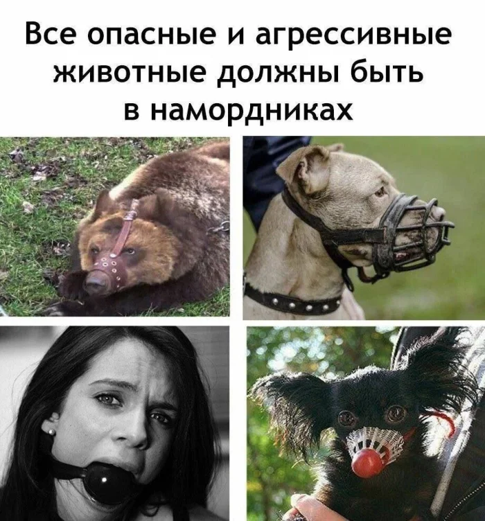 Пошлые мемы и чёрный юмор 18+ | Подборка #14 Пошлые мемы и чёрный юмор 18+ | Подборка #14