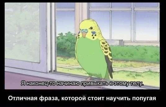 Пошлые мемы и чёрный юмор 18+ | Подборка #17