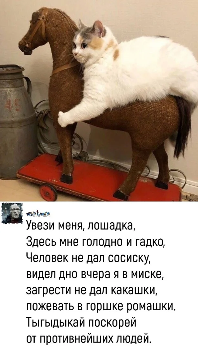 Получается мемы подъехали